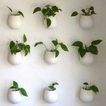 Air Cleaning Houseplants