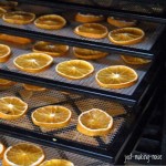 Dehydrating Oranges & How to Use Them
