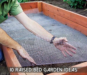 10 Raised Bed Garden Ideas