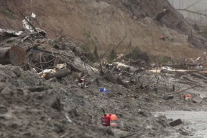 Mudslide Survival