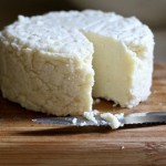 MIY Cheese from Powdered Milk