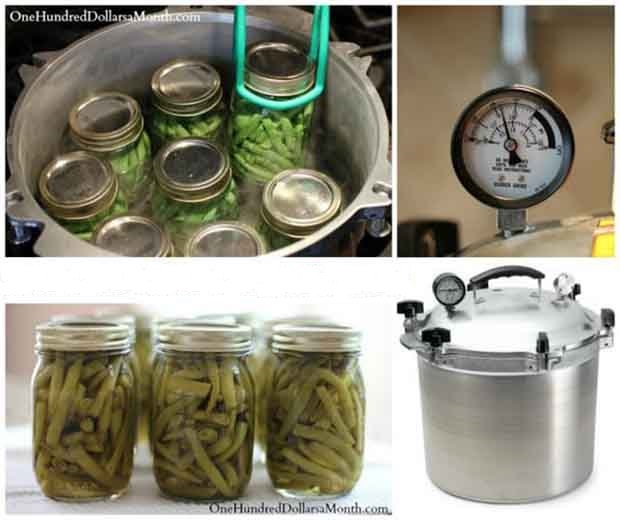 Beginners Guide To Pressure Canning
