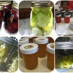 Hundreds of Free Canning and Preserving Recipes!
