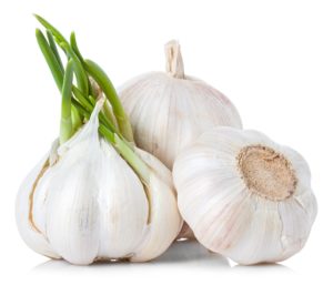 Medical Uses for Garlic