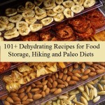 101+ Dehydrating Recipes