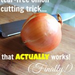 Canning Help: Tear-Free Onion Cutting Trick That Actually Works!