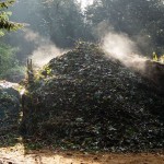 Starting Your Compost Pile