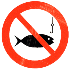 Top 5 Reasons People Don't Catch Fish