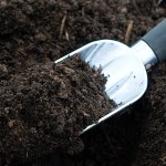 Healthy Garden Soil