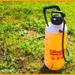 DIY Organic Garden Pest Spray