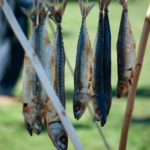 5 Primitive Survival Fishing Methods