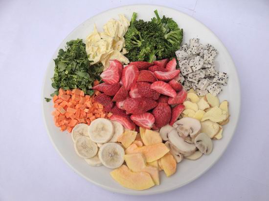 DIY Freeze Drying - The Prepared Page