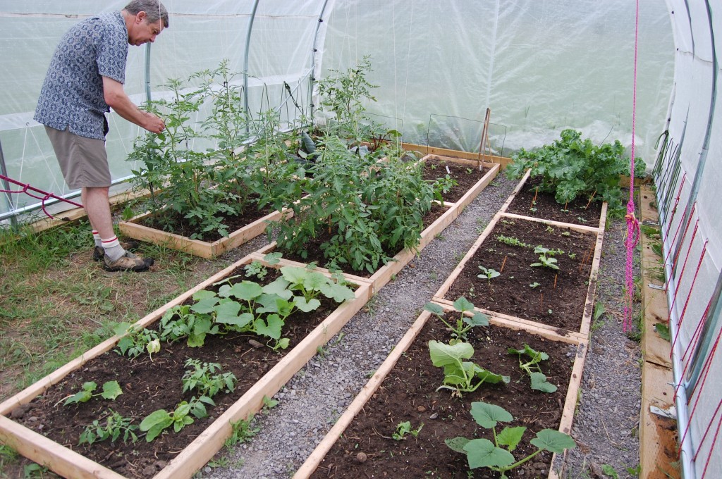 10 DIY Greenhouses 