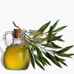 80 Amazing Uses for Tea Tree Oil