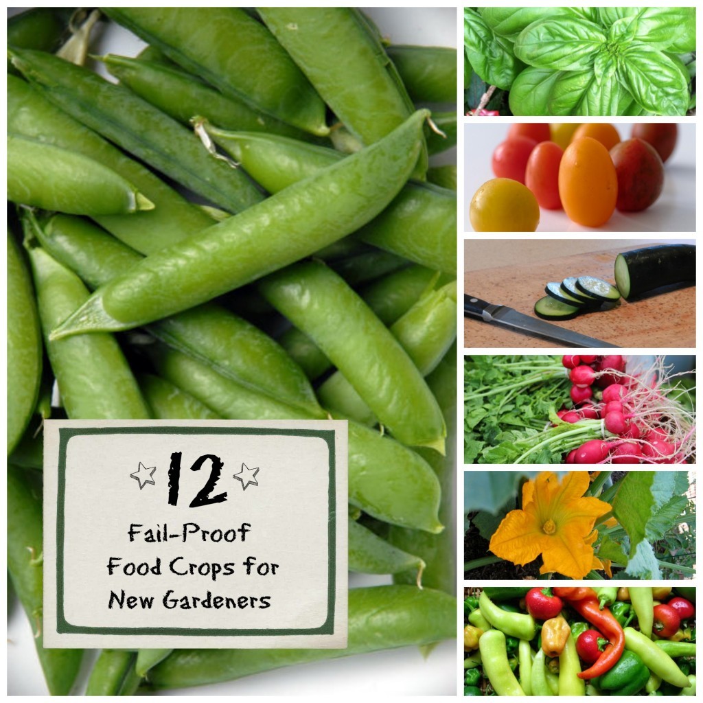 12 Easy To Grow Veggies For Beginners