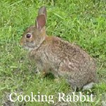 Prepping and Cooking Rabbit