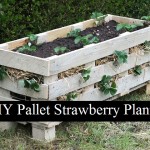 DIY Pallet Strawberry Planter