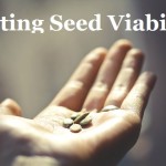 Testing Seed Viability