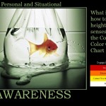 Personal & Situational Awareness