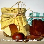 Food Preservation And Sustainability