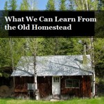 What We Can Learn From the Old Homestead