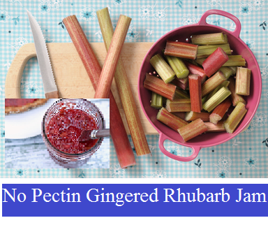 No Pectin Gingered Rhubarb Jam