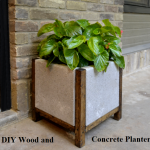 DIY Wood and Concrete Planter