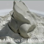 10 First Aid Uses for Bentonite Clay