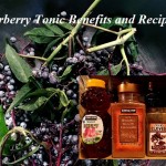 Elderberry Tonic Benefits and Recipe