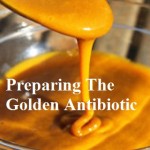 Preparing The Golden Antibiotic
