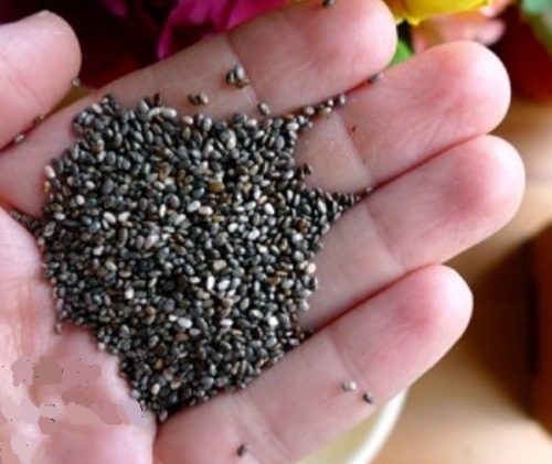 3 Super Seeds For Long Term Storage