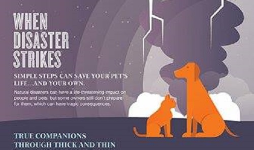 Saving Your Pet When Disaster Strikes Infograph