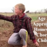 Age Appropriate Homestead Chores for Children