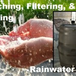 Catching, Filtering, & Storing Rainwater