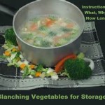 Blanching Vegetables for Storage