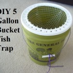 DIY 5 Gallon Bucket Fish Trap