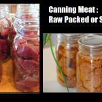 Canning Meat: Raw Packed or Seared