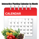 Interactive Planting Calendar by Month
