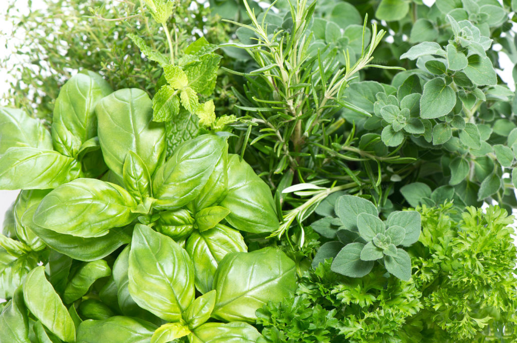 10 Herbs for 20 Everyday Uses