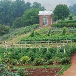 Gardening Planting Using Jeffersonian Principles