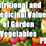 Nutritional And Medicinal Value Of Garden Vegetables