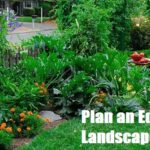 Plan an Edible Landscape