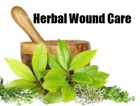  Herbal Wound Care