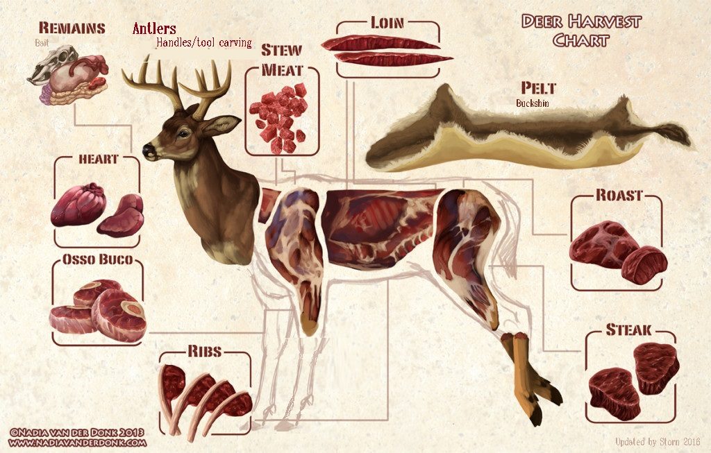 Butchering Deer