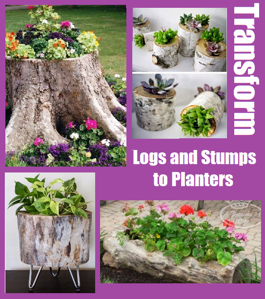 Transform Logs and Stumps to Planters