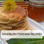 Dandelion Pancake Recipes