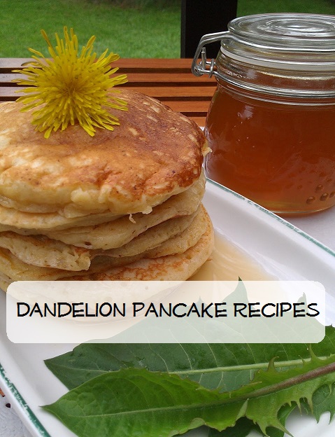  Dandelion Pancake Recipes