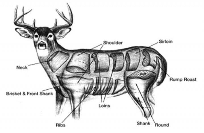  Butchering Deer