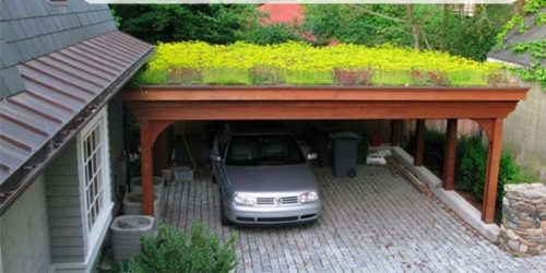 “Green Roof” More Than a Trend