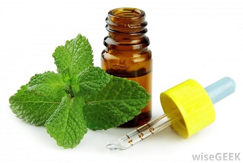 Medical Uses and Benefits of Peppermint Oil